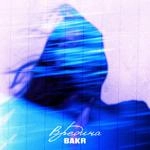 Бакр - Вредина