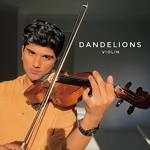 Joel Sunny - Dandelions (Violin)