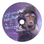 Купание Обезьяны В Теплой Воде - Танцуй