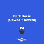 Music Factory - Dark Horse (Slowed + Reverb) (Remix)