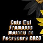 Muzica Moldoveneasca - Cel Mai Bun Si Frumos Colaj 2023 Muzica De Petrecere 2023