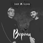Sab0 & Taison - Ворони