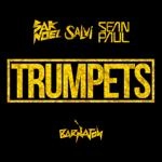 Sak Noel - Trumpets (Feat. Sean Paul)