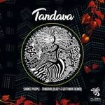Shanti People - Tandava (Blazy & Gottinari Remix)